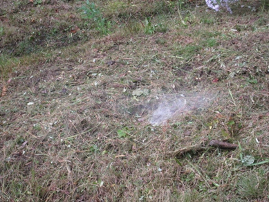 20141020_02.JPG