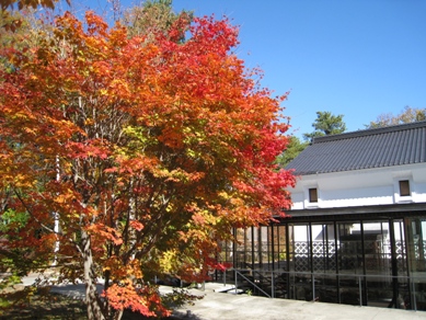 20141029_02.JPG