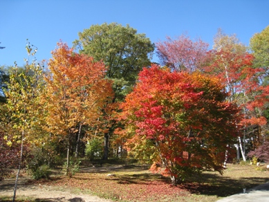 20141029_03.JPG