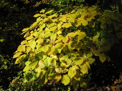 20141029_05.JPG