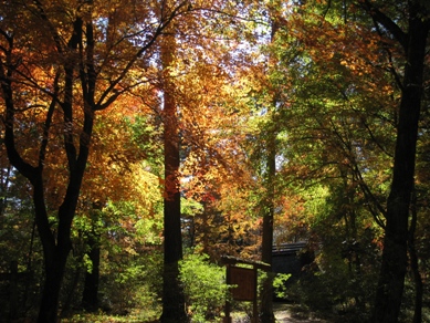 20141029_06.JPG