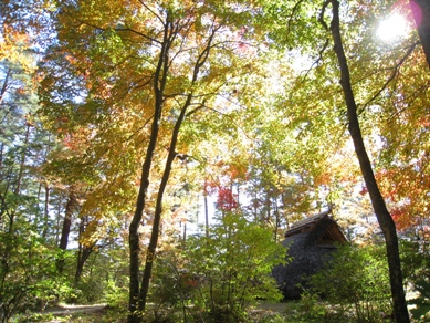 20141029_07.JPG