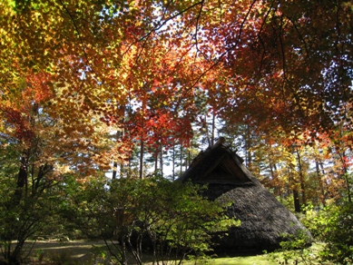20141029_08.JPG