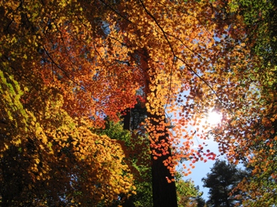 20141029_09.JPG