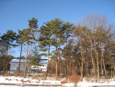 20150105_02.JPG