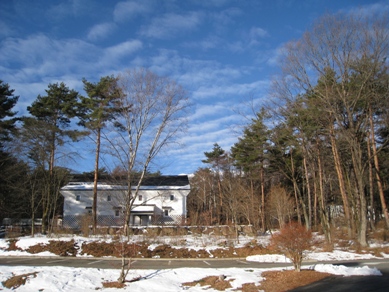 20150115.JPG