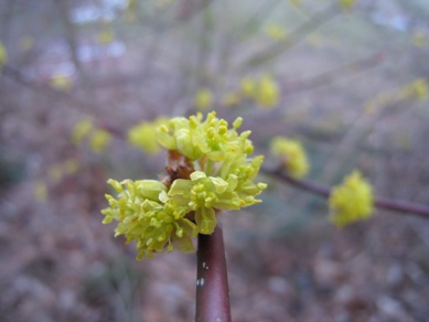 20150324_02.JPG