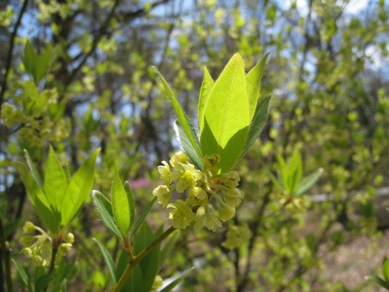 20150423_12.JPG