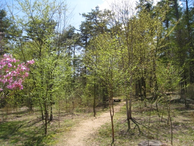 20150423_32.JPG