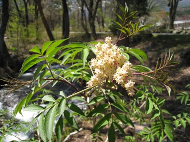 20150423_52.JPG