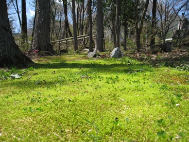 20150423_62.JPG