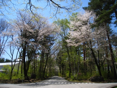 20150428_02.JPG