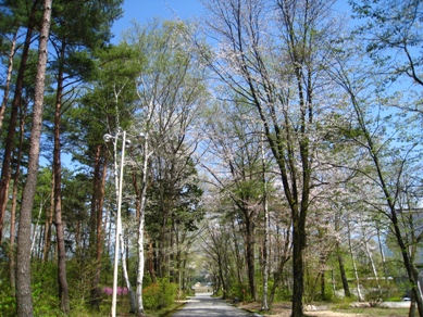 20150428_03.JPG