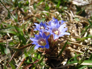 20150428_12.JPG