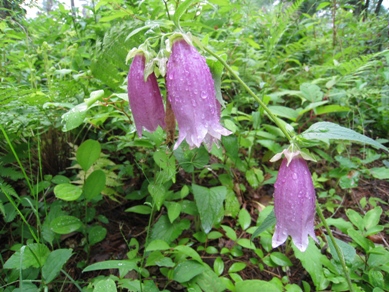 20150618_03.JPG