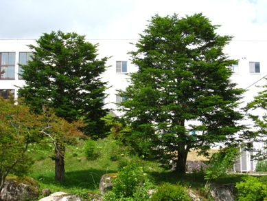 20150701_31.JPG