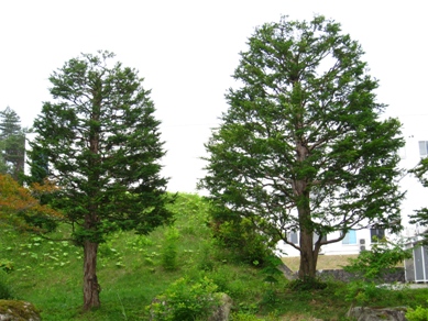 20150701_32.JPG