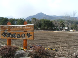 四季咲きの丘