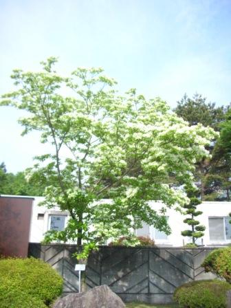 DSCN3525.JPG