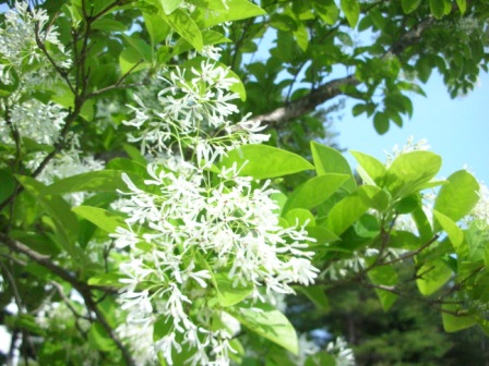 DSCN3526.JPG
