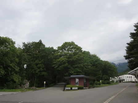 IMG_1125.JPG