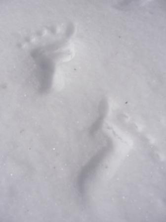 大きさナント10cm！！
