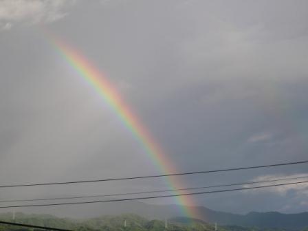 虹