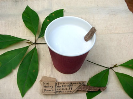 養命酒　健康の森　カフェヒーリングテラス