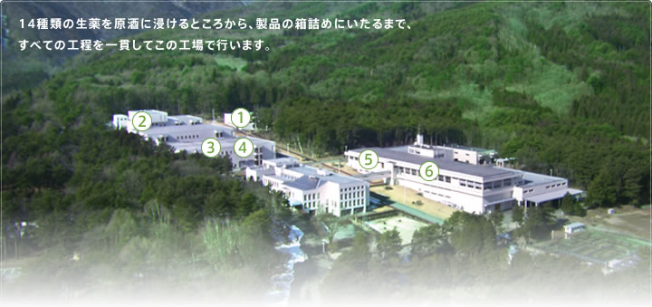 14種類の生薬を原酒に浸けるところから、製品の箱詰めにいたるまで、すべての工程を一貫してこの工場で行います。