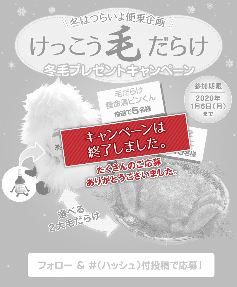 冬はつらいよ便乗企画 けっこう毛だらけ冬毛プレゼントキャンペーン 参加期限：2020年1月6日（月）まで