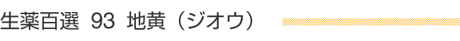 生薬百選 93 地黄（ジオウ）