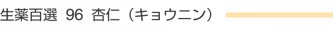 生薬百選 96 杏仁（キョウニン）