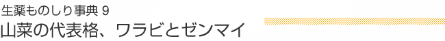 生薬ものしり事典 9 山菜の代表格、ワラビとゼンマイ