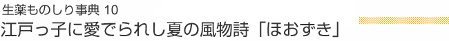 生薬ものしり事典 10 江戸っ子に愛でられし夏の風物詩「ほおずき」