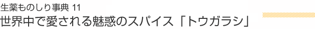 生薬ものしり事典 11 世界中で愛される魅惑のスパイス「トウガラシ」