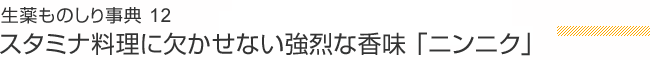 生薬ものしり事典 12 スタミナ料理に欠かせない強烈な香味「ニンニク」