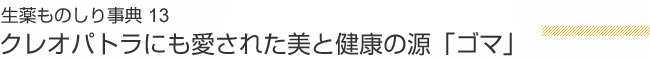 生薬ものしり事典 13 クレオパトラにも愛された美と健康の源「ゴマ」