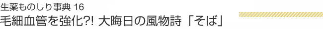 生薬ものしり事典 16 毛細血管を強化?! 大晦日の風物詩「そば」