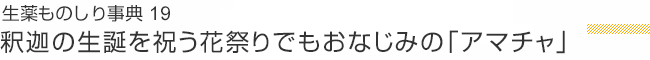 生薬ものしり事典 19 釈迦の生誕を祝う花祭りでもおなじみの「アマチャ」