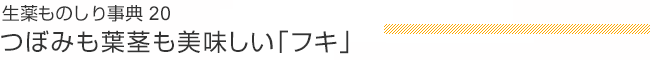 生薬ものしり事典 20 つぼみも葉茎も美味しい「フキ」」