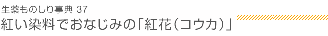 生薬ものしり事典37　紅花（コウカ）