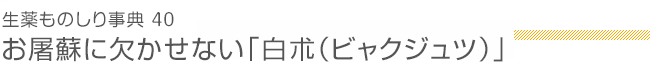 生薬ものしり事典40　お屠蘇に欠かせない「白朮（ビャクジュツ）」