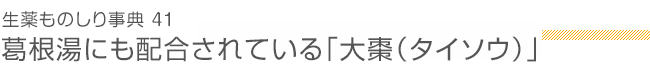 生薬ものしり事典41　葛根湯にも配合されている「大棗（タイソウ）」