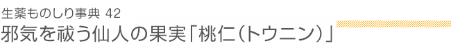 生薬ものしり事典42 邪気を祓う仙人の果実「桃仁（トウニン）」