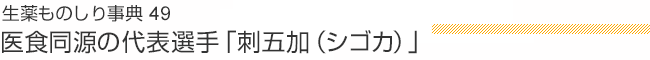生薬ものしり事典49 医食同源の代表選手「刺五加（シゴカ）」
