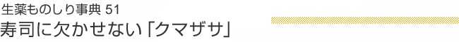 生薬ものしり事典51 寿司に欠かせない「クマザサ」