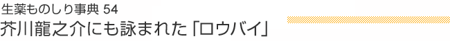 生薬ものしり事典54 芥川龍之介にも詠まれた「ロウバイ」