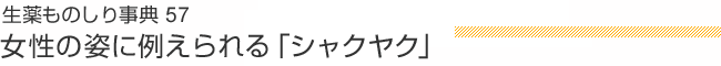 生薬ものしり事典57 女性の立ち姿に例えられる優美な「シャクヤク」