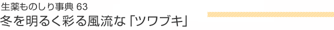 生薬ものしり事典63 冬を明るく彩る風流な「ツワブキ」