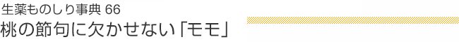 生薬ものしり事典66 桃の節句に欠かせない「モモ」